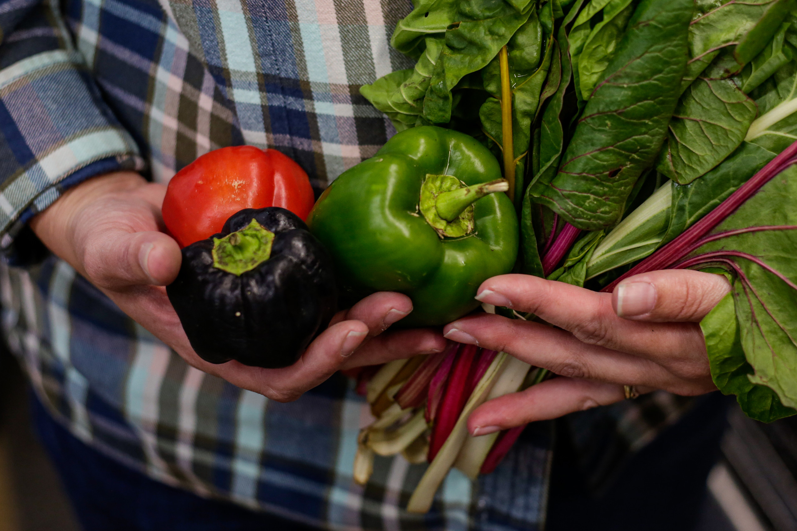 Manchester Market Bakery, Butchery, Farmers Market, Cafe & Italian gelato